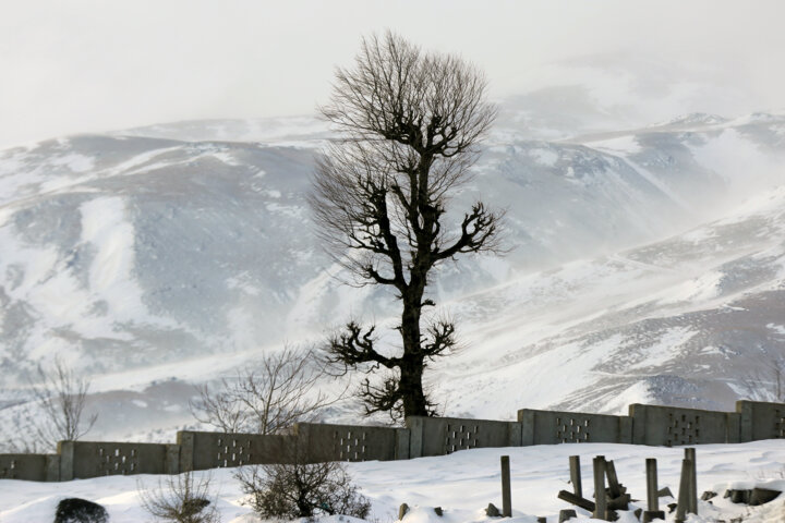 طبیعت برفی روستای «زندانه»