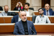 ایرانی قوم اسلامی جمہوریہ نظام سے وفاداری کے امتحان میں سر بلند، ترجمان وزارت خارجہ