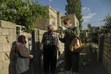 خدمات رایگان دامپزشکی در روستاهای استان کردستان