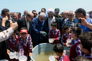 جشنواره ملی رهاسازی بچه ماهیان استخوانی، خاویاری، دریایی و میگو در رودسر