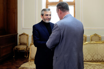 دیدار رئیس کمیته بین الملل دومای روسیه با سرپرست وزارت خارجه