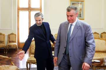 دیدار رئیس کمیته بین الملل دومای روسیه با سرپرست وزارت خارجه