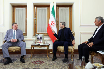 Head of the Int'l Cmmittee of Russian Duma Meets Iran's Acting FM