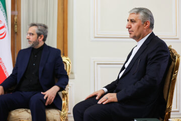 Head of the Int'l Cmmittee of Russian Duma Meets Iran's Acting FM
