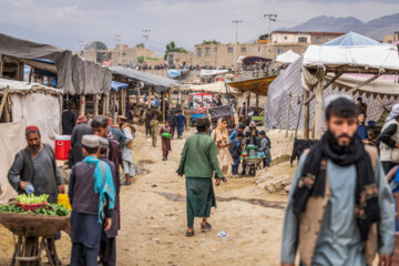Kabul Livestock Market on Eve of Eid al-Adha