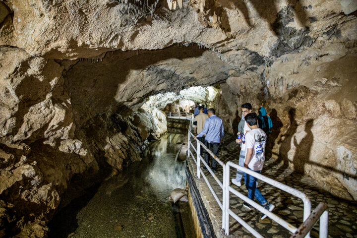 حفاظت مشارکتی، کلید حفظ و احیاء غارها/خانه خفاشها را خراب نکنیم