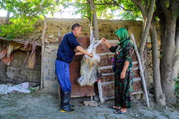 Les traditions de l'Aïd al-Adha chez les Turkmènes iraniens 