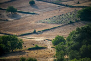 مجوز تغییر کاربری ۳۰ هکتار زمین در لرستان صادر شد