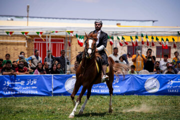فستیوال ملی اسب دره شوری