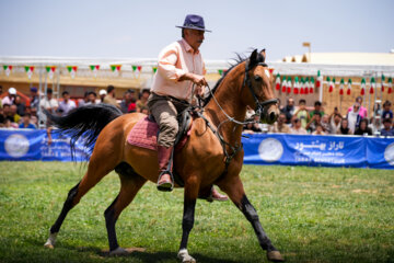 فستیوال ملی اسب دره شوری