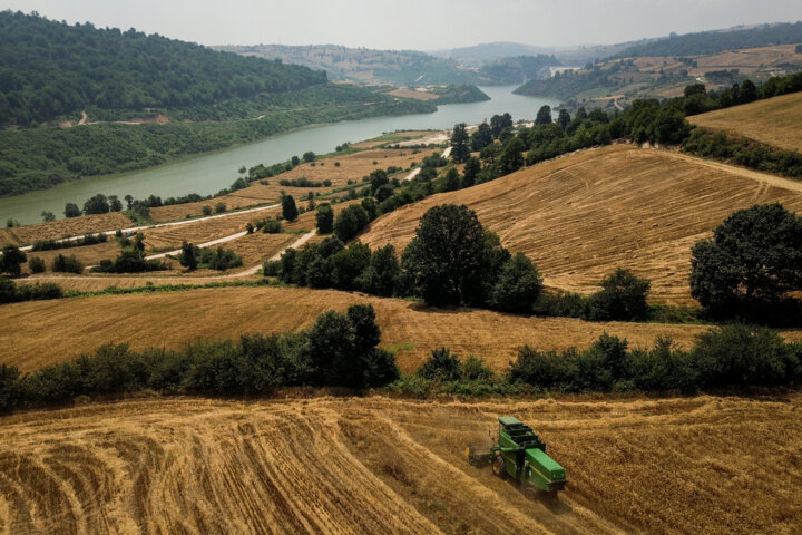 رکوردزنی خرید تضمینی گندم و خودکفایی در تولید