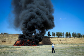 Destruction of Five Tons of Drugs