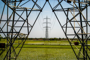 طول شبکه برق ایران بیش از یک میلیون کیلومتر است