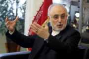 صالحی: ایران به دنبال مذاکره برد-برد است