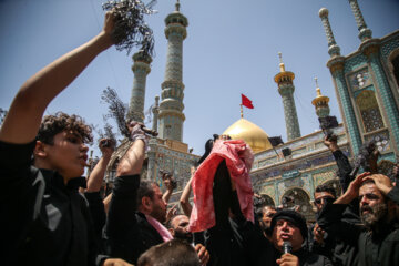 Musulmanes chiíes conmemoran el día de Ashura en Qom 