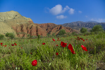 زنجان؛ کوه های رنگی (آلاداغلار) ماهنشان (۱۵ میلیون سال قبل در پروسه تشکیل کوه‌ها و حوضچه‌های قاره‌ای این منطقه رسوبات آهنی وجود داشته و هر یک از رنگ‌های آن نشانگر وجود یک ماده معدنی خاص است)