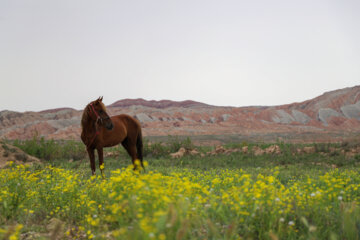 زنجان؛ سرزمین شگفتی‌ها