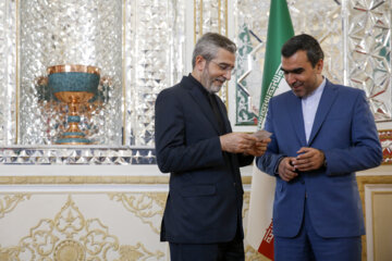 Foreign ministers of Iran and Egypt meet in Tehran