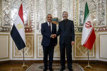 Foreign ministers of Iran and Egypt meet in Tehran