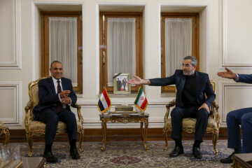 Foreign ministers of Iran and Egypt meet in Tehran