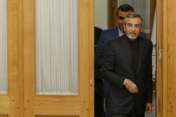 Foreign ministers of Iran and Egypt meet in Tehran