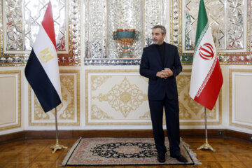 Foreign ministers of Iran and Egypt meet in Tehran