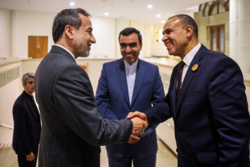 Les invités participant à la cérémonie d'investiture du nouveau président iranien ont rencontré et discuté Massoud Pezeshkian ce mardi soir 30 juillet 2024.  (Photo : Ahmad Moini Jam). 