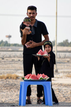 Marche d'Arbaeen sur la route Basra-Karbala