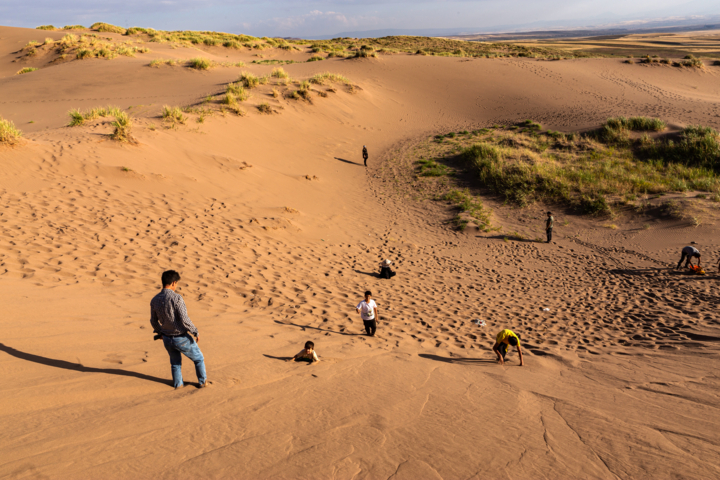 ۷۰ درصد عامل نابودی تنوعزیستی، تخریب زیستگاه است