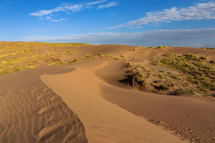 خنیاگران ترانهساز حیات/ توفیق خراسان رضوی در طرح کاشت درخت