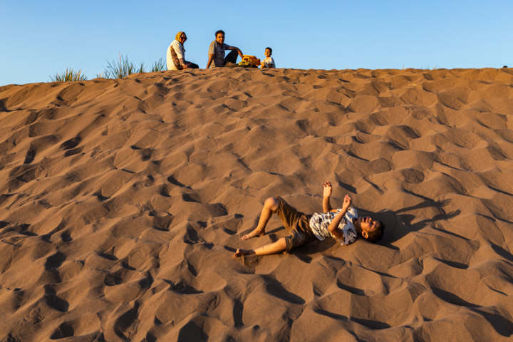 انقراض یوزپلنگ آسیایی در صورت تامین نشدن اعتبار حفاظت قطعی است