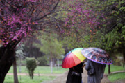 تهران چهارشنبه با بارش پراکنده باران/ گرما همچنان میهمان پایتخت‌نشینان