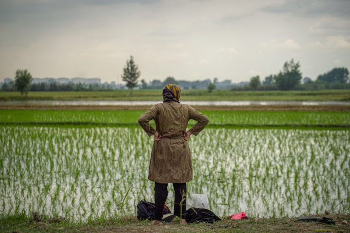 آیا فرونشست زمین گسلهای زلزله را فعال میکند