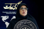 پاسخ مهاجرانی به ادعای نقش دولت در نوسانات ارزی