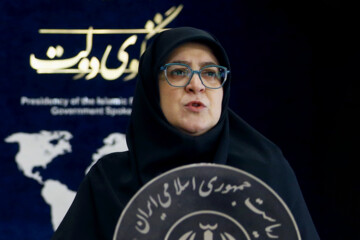 پاسخ مهاجرانی به ادعای نقش دولت در نوسانات ارزی