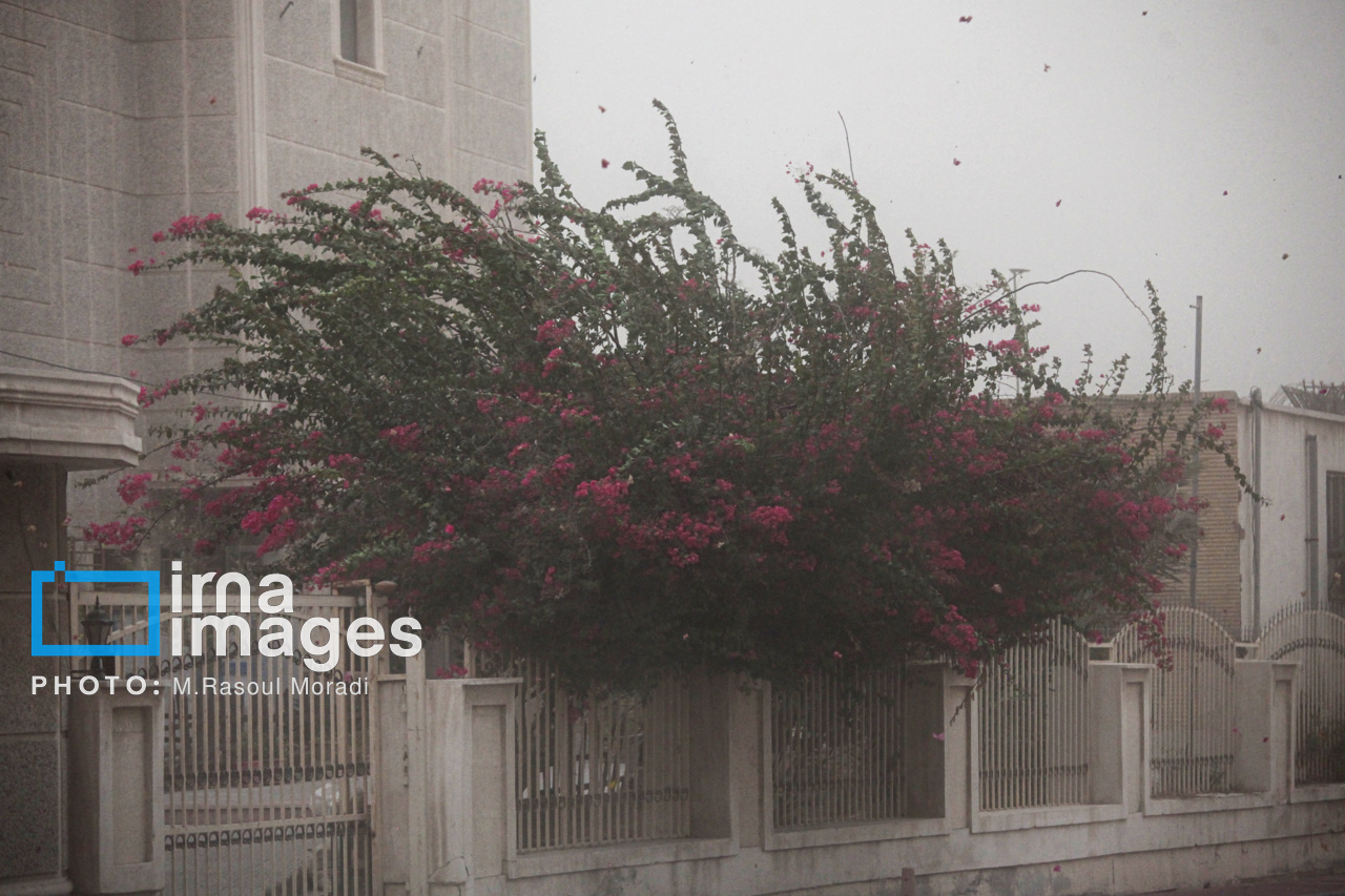 هشدار نارنجی وزش بادگرم در گیلان؛ آتش روشن نکنید