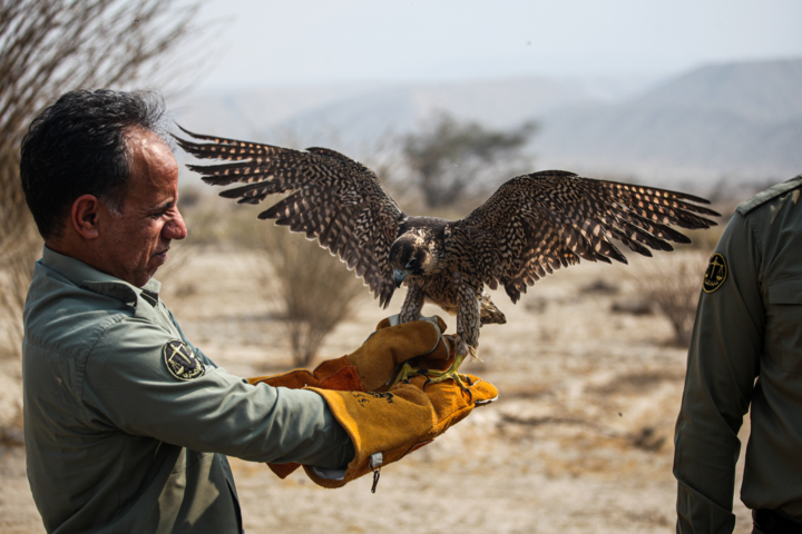 محیط زیستی حیاتبخش با رویکردی جدید در کرمان