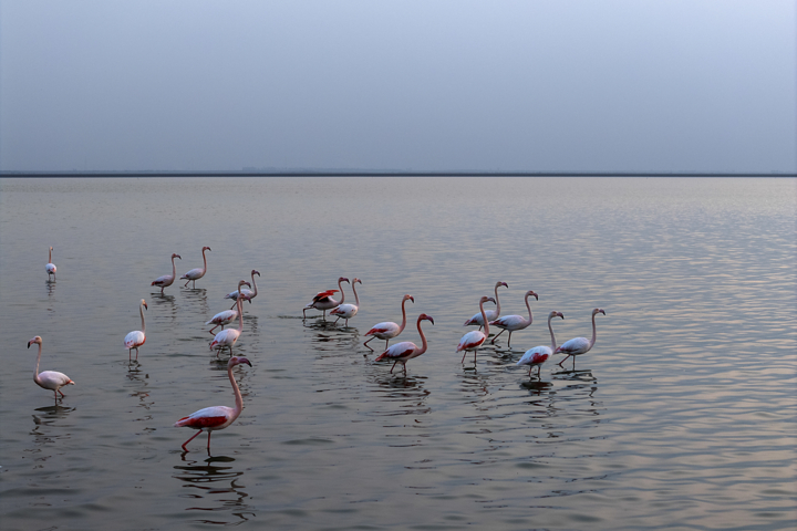 تالاب‌ها؛ ظرفیت راهبردی گردشگری آبی در مازندران