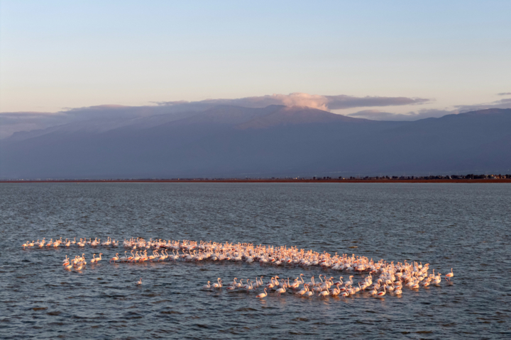 تالابها؛ ظرفیت راهبردی گردشگری آبی در مازندران