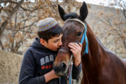 Caballo turcomano