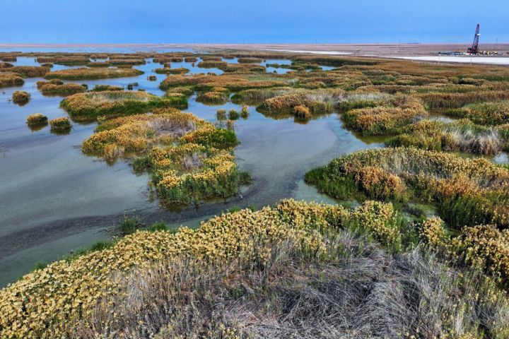 نقش تسهیلگری برنامه توسعه ملل متحد در تحقق حقابه تالابهای مرزی