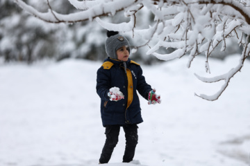 Iran : chutes de neige à Qom, située au sud-ouest de Téhéran