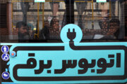 نهضت برقی‌سازی باید تداوم داشته باشد/ قطع ۱۰ هزار درخت خشک شده
