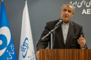 Iran will consider accepting U.S. inspectors following nuclear agreement: Top nuclear official
