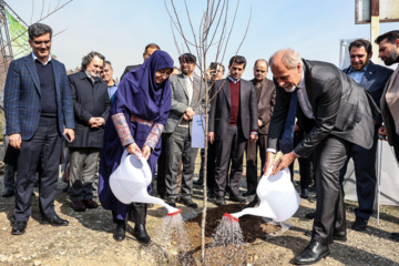کاشت نهال «سنجد» در پارک «پردیسان»