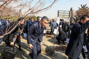 کاشت نهال «سنجد» در پارک «پردیسان»