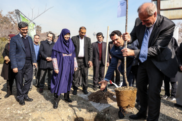 کاشت نهال «سنجد» در پارک «پردیسان»