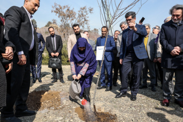 کاشت نهال «سنجد» در پارک «پردیسان»