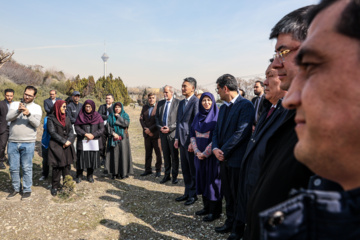 کاشت نهال «سنجد» در پارک «پردیسان»