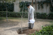 Plantation de jeunes arbres à l'occasion de la Journée de l'arbre par le Leader de la RII